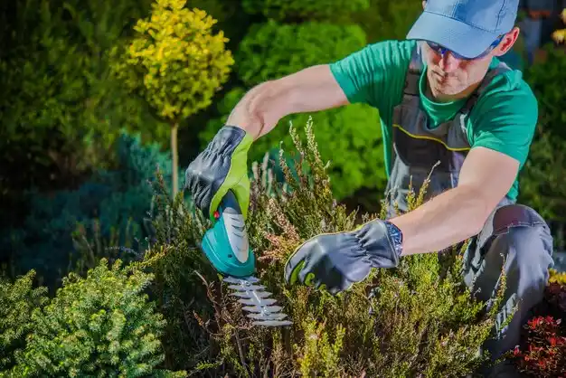 landscaping services Port Chester